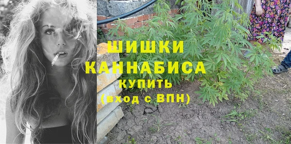 mdpv Богородицк