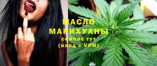 mdpv Богородицк
